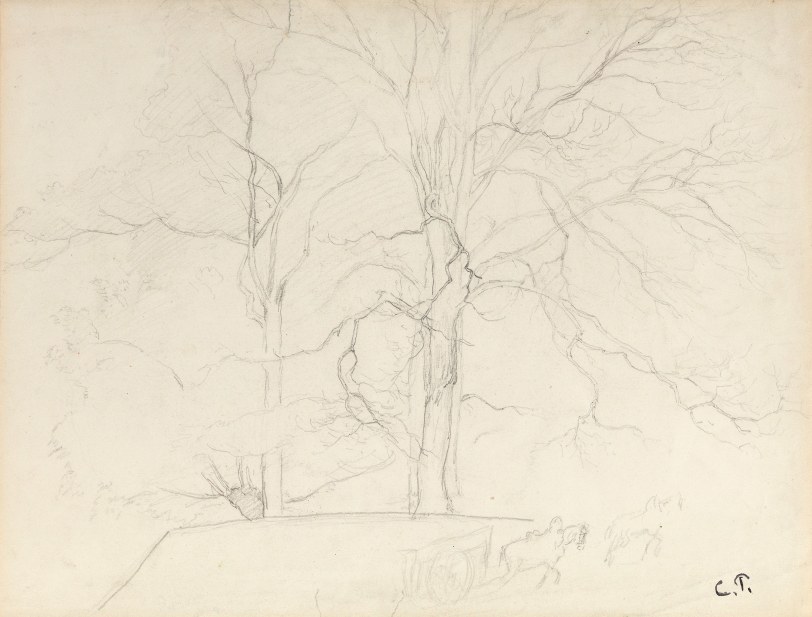 Camille Pissarro Trees in Montmorency, c. 1855-60 Pencil on paper 12 1/2 x 16 1/2 inches