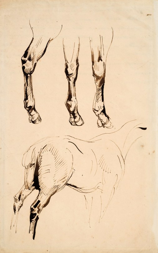 Eugene Delacroix, Three Studies of Legs and a Study of the Rump of a Horse, 1828 Pen and brown ink with brown wash on paper 12 1/4 x 7 5/8 inches