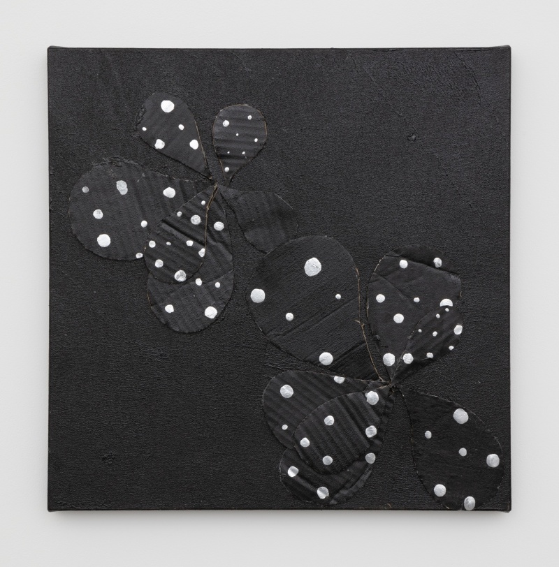 Brenna Youngblood Black Star Flowers I, 2023