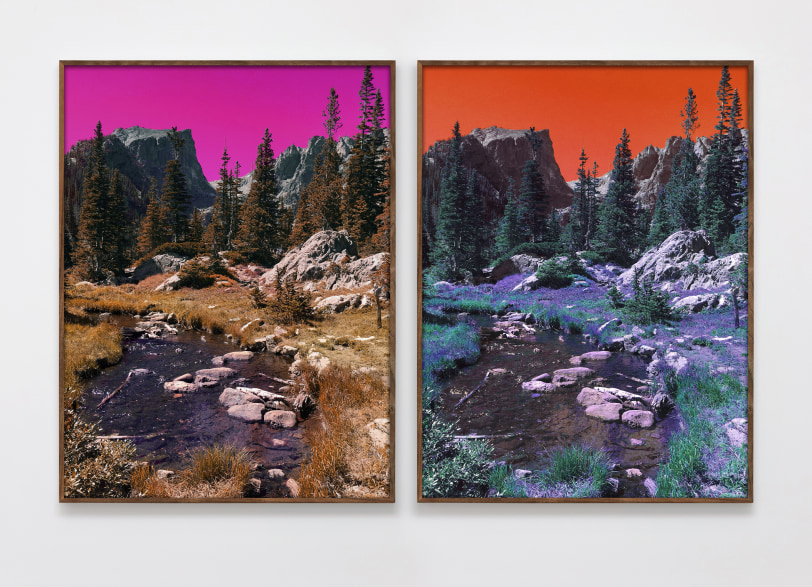 Evan Trine Dream Lake Trail (PC,M,Y,B,G,PM,LG,C) (PM,Y,C,B,G,M,LG,PC), 2017 Unique archival pigment print diptych: 40 x 60 in (101.6 x 152.4 cm) overall; framed: 41 x 62 inch (104.1 x 157.5 cm)