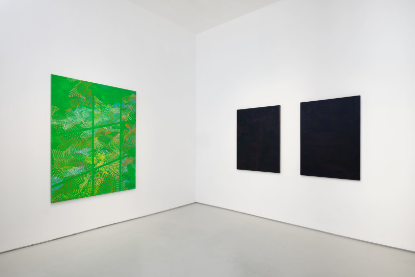 Installation view 3, Frequency Illusion, 2022