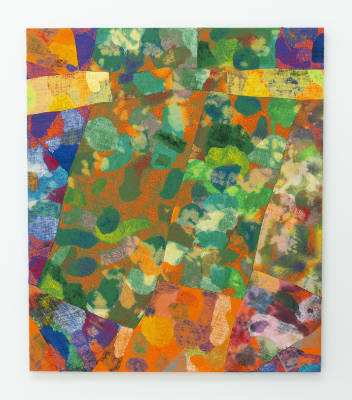Evan Nesbit Yuba Fizz, 2018 Acrylic, dye on burlap 79 x 68 in (200.7 x 172.7 cm)