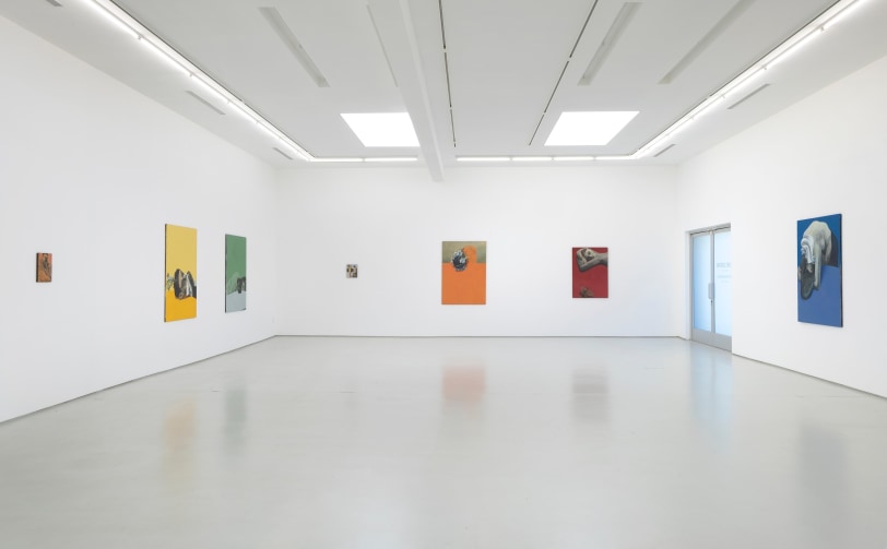 Lenz Geerk, The Table Portraits, Installation view 5