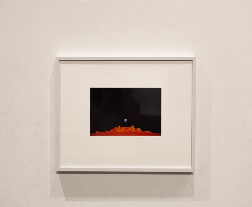 Pete Turner: The Color of Light