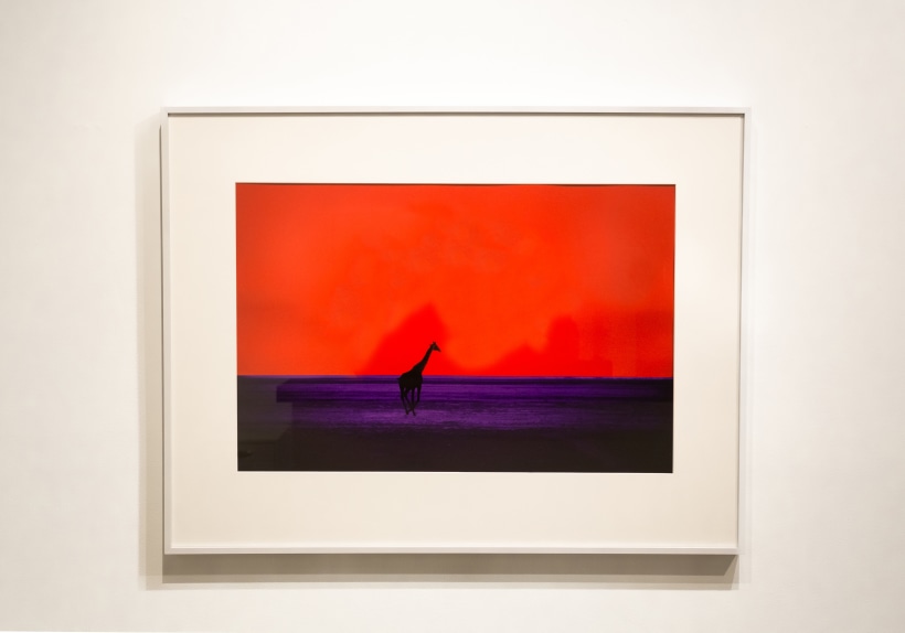 Pete Turner: The Color of Light