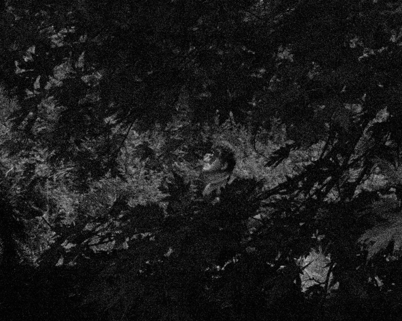 Brea Souders; End of the Road 26, 2020; Gelatin silver print; 16 x 20 inches; Edition of 5 + 2 AP; Signed and numbered on label verso; Bruce Silverstein Gallery