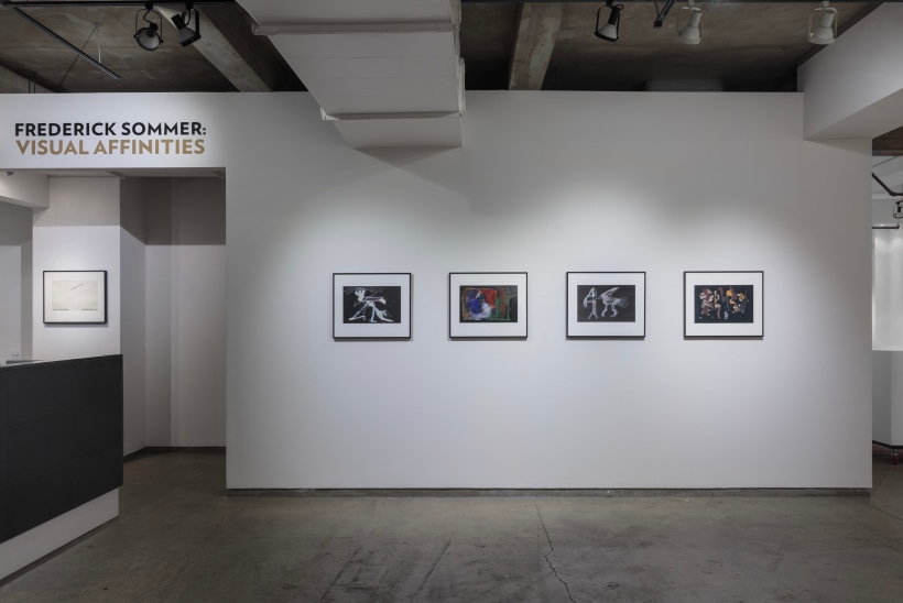 Frederick Sommer: Visual Affinities | Bruce Silverstein Gallery in collaboration with Ricco/Maresca