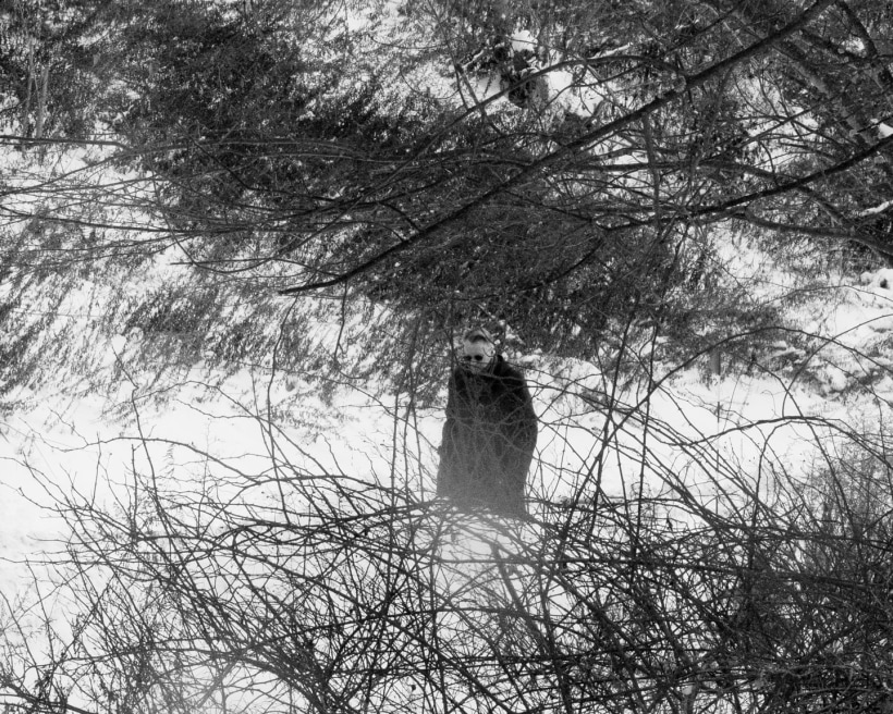 Brea Souders; End of the Road 18, 2020; Gelatin silver print; 16 x 20 inches; Edition of 5 + 2 AP; Signed and numbered on label verso; Bruce Silverstein Gallery