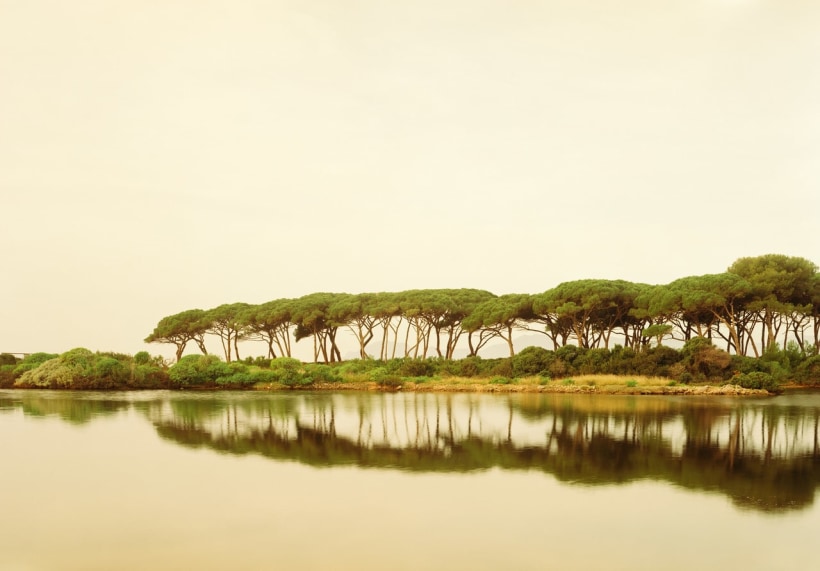 Elger Esser (b. 1967), Etang du Bateguier IV, 2020