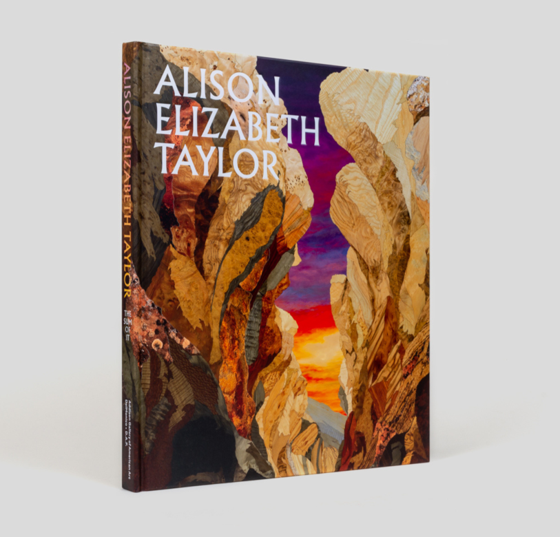 The book cover of Alison Elizabeth Taylor: The Sum of It
