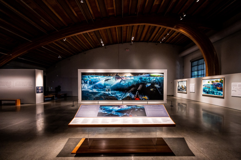 A dark gallery space with wood ceilings and bright white walls, with bright blue paintings with various scenes of sea life and boats.