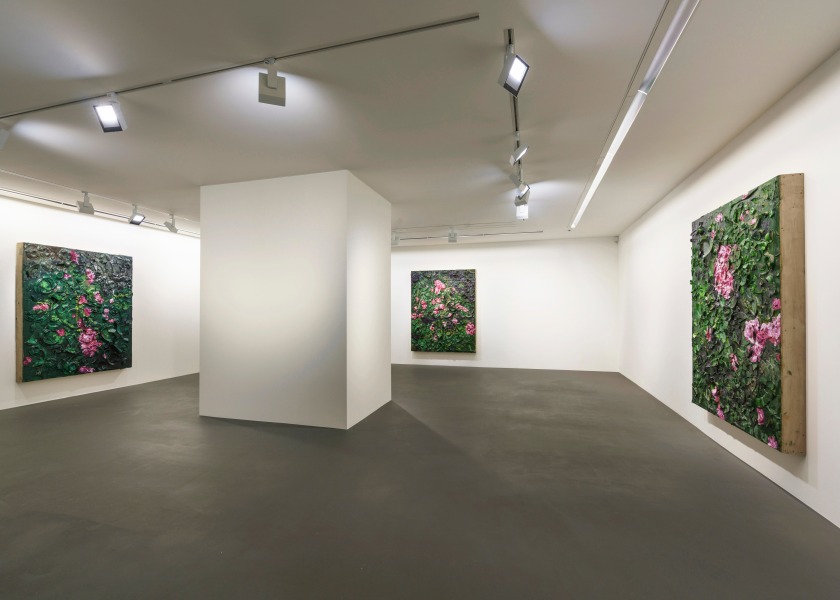 6 Rose Paintings, Vito Schnabel Gallery, St. Moritz, 2016