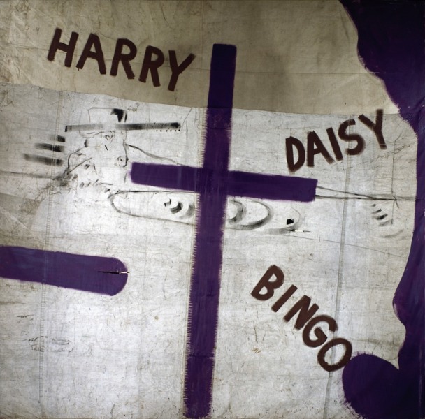 Harry Daisy and Bingo