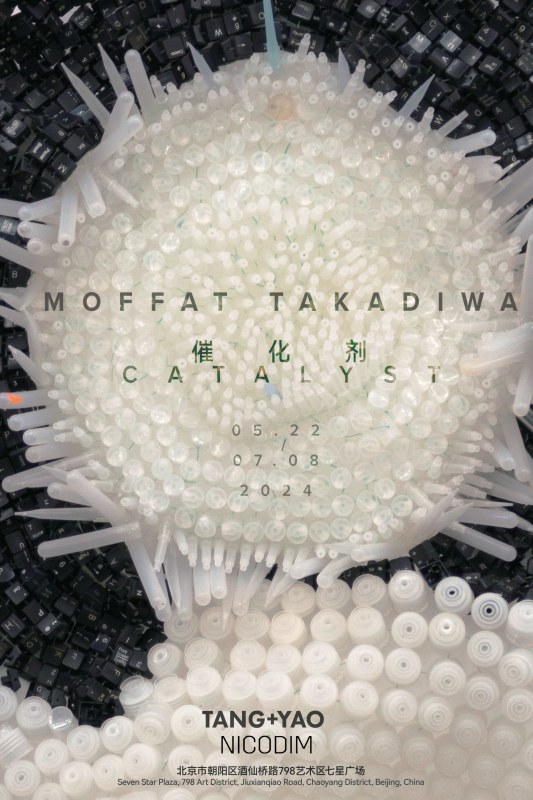 Moffat Takadiwa in 'CATALYST'