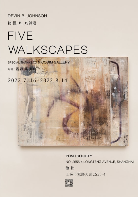 Devin B. Johnson 'Five Walkscapes'