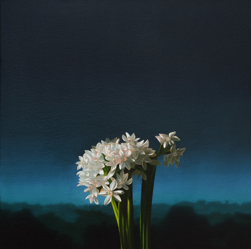Bruce Cohen, Narcissus Against Evening Sky, Oil on canvas