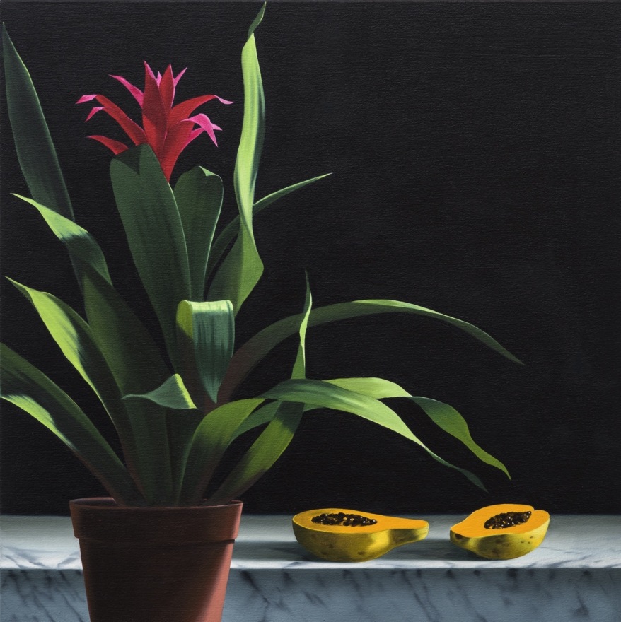 Bruce Cohen, Still Life with Papaya, Oil on canvas