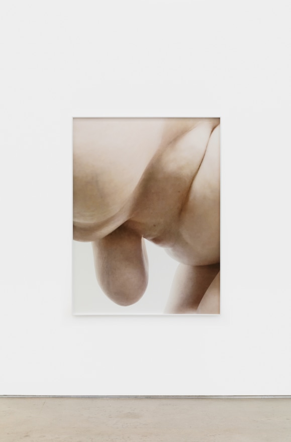 Polly Borland Nudie (8), 2021 Archival pigment print 53 1/4 x 40 in (image) 135.3 x 101.6 cm (image)  53 1/2 x 40 1/4 x 1 1/2 in (framed) 135.9 x 102.2 x 3.8 cm (framed) Edition of 3 plus 2 artist's proofs (#1/3) (PBO21.008)
