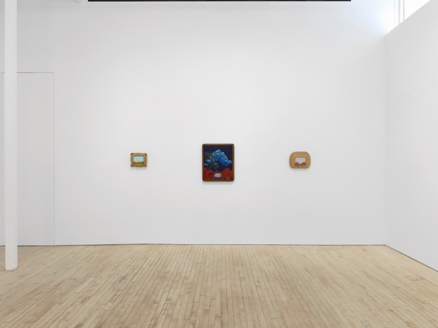 Installation view of Karel Dicker, tamed flowers, Nino Mier Gallery, Tribeca, June 27 &ndash; August 8, 2025