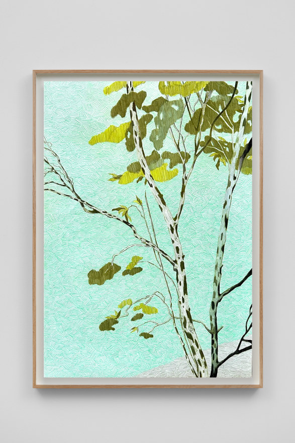 Per Adolfsen Birch tree, 2024 Signed, titled, and dated on verso Colored pencil on Hahnemühle paper 35 1/8 x 25 5/8 in (framed) 89.2 x 65 cm (framed) (PAD24.064)