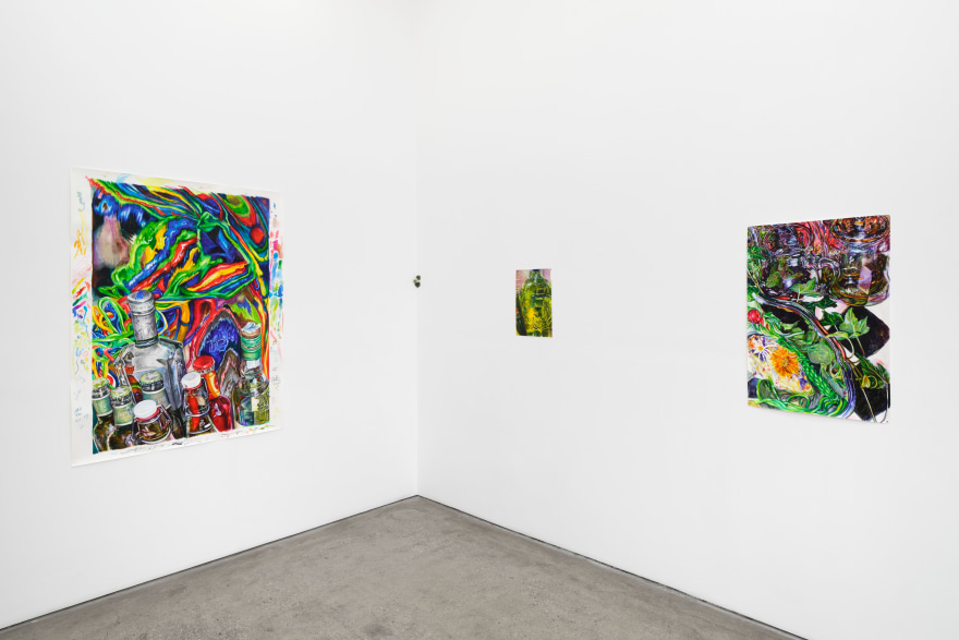 Installation view of &nbsp;GIULIA MESSINA The Fool's Dream&nbsp;  LOS ANGELES&nbsp; GALLERY FOUR (January 5 - February 17, 2024)