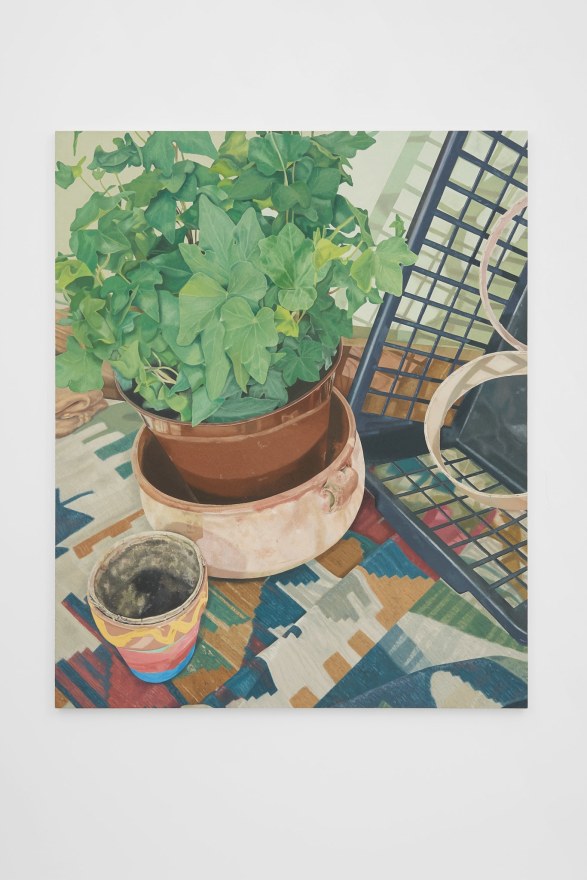 Michael Cline Potted Ivy, 2022 Oil on linen 55 x 45 in 139.7 x 114.3 cm (MCL22.004)