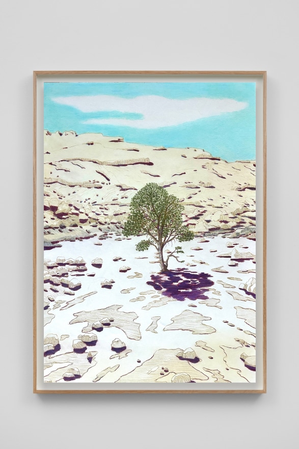 Per Adolfsen Tree in the desert, 2024 Signed, titled, and dated on verso Colored pencil on Hahnemühle paper 35 1/8 x 25 5/8 in (framed) 89.2 x 65 cm (framed) (PAD24.088)