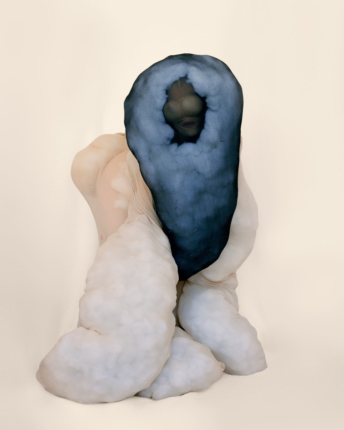 Polly Borland, Morph 14, 2018. archival pigment print, 92 x 78 cm 36.2 x 30.7 in, Edition of 6 plus 3 artist's proofs (#3/6) (PBO18.014)