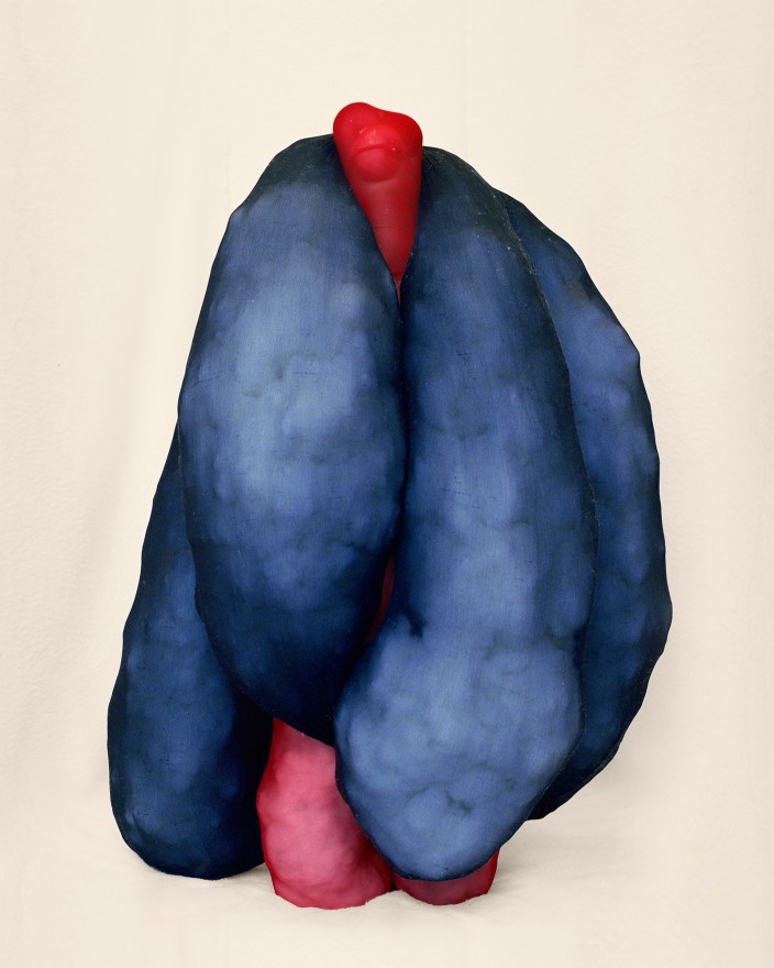 Polly Borland Morph 19, 2018 Archival pigment print 36 1/4 x 30 3/4 in 91.9 x 78 cm Edition of 6 plus 3 artist's proofs (#1/6) (PBO18.016)