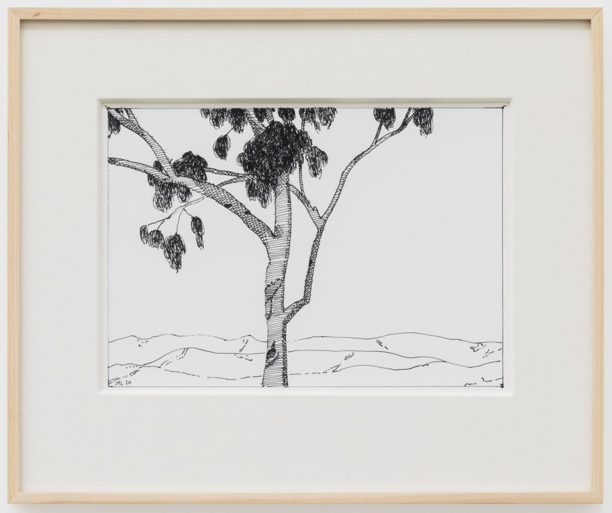 Jake Longstreth, Untitled (Eucalyptus), 2020. ink on paper, 12 x 14 in (12 &frac12; x 15 in. framed), 30.5 x 35.6 cm (31.75 x 38 cm, framed) (JLO20.048)