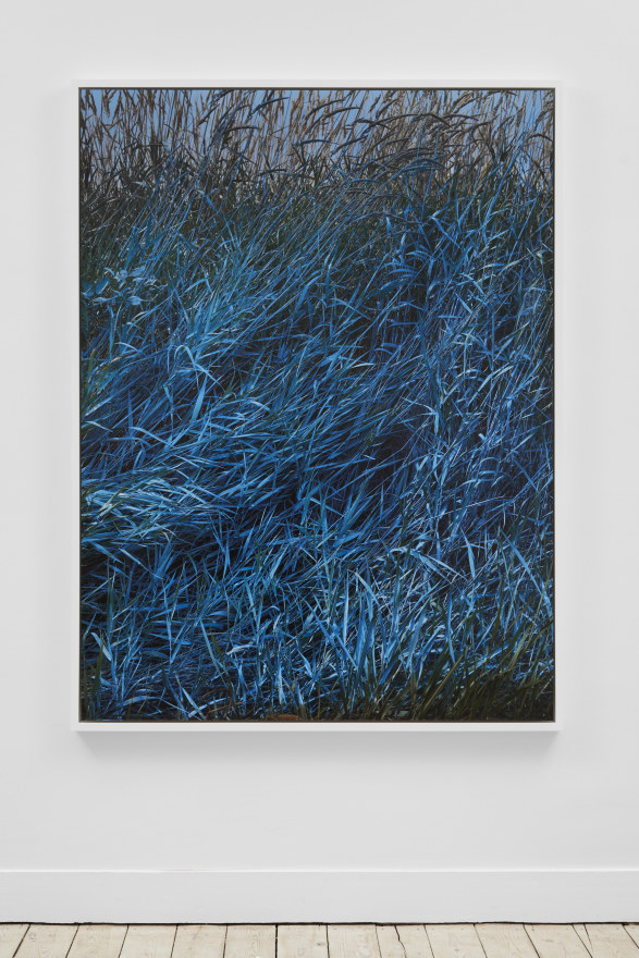 Andrew Dadson Creeping Wild Rye Grass (Leymus triticoides) Blue, 2023 Wild Grass, Biodegradable Milk Paint (Water, Casein, Chalk, Limestone, Earth Pigments, Indigo) Inkjet Print Mounted on Di-Bond 72 1/2 x 54 1/2 in (framed) 184.2 x 138.4 cm (framed) Edition of 3 plus 2 artist's proofs (ADA23.019)