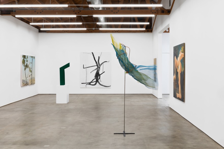 Some Trees, Organized by Christian Malycha, 2019, Nino Mier Gallery, Los Angeles, Installation view Highlighting &quot;Untitled&quot; by Rachel von Morgenstern