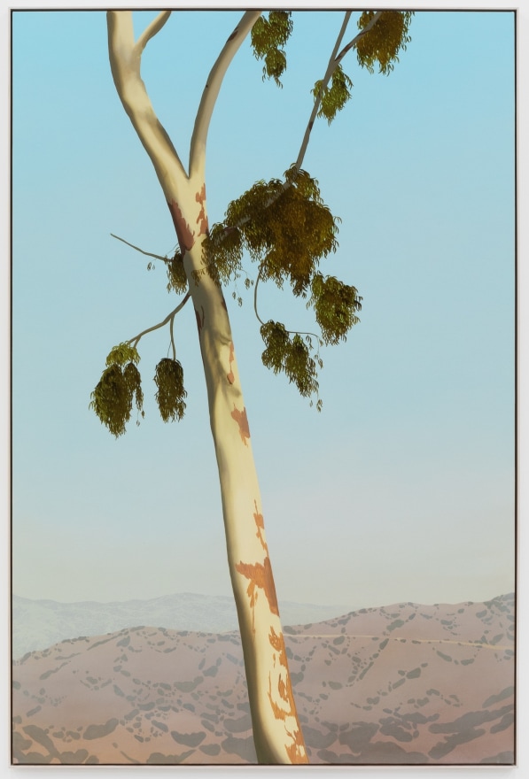 Jake Longstreth, In Glendale (Eucalyptus 5), 2020. Oil on muslin, 85 x 57.25 in, 213.4 x 144.8 cm (framed). (JLO20.004)