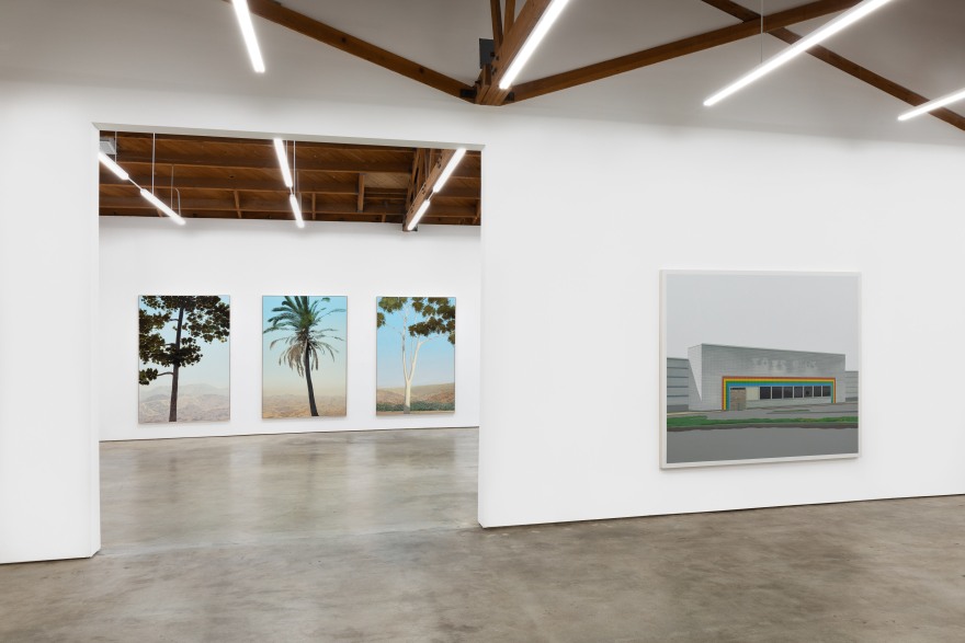 Installation View of &quot;In Glendale (Canary Island Pine 2)&quot;, &quot;In Glendale (Fan Palm)&quot;, &quot;In Glendale (Eucalyptus)&quot;, and &quot;Peach Tree Drive&quot;
