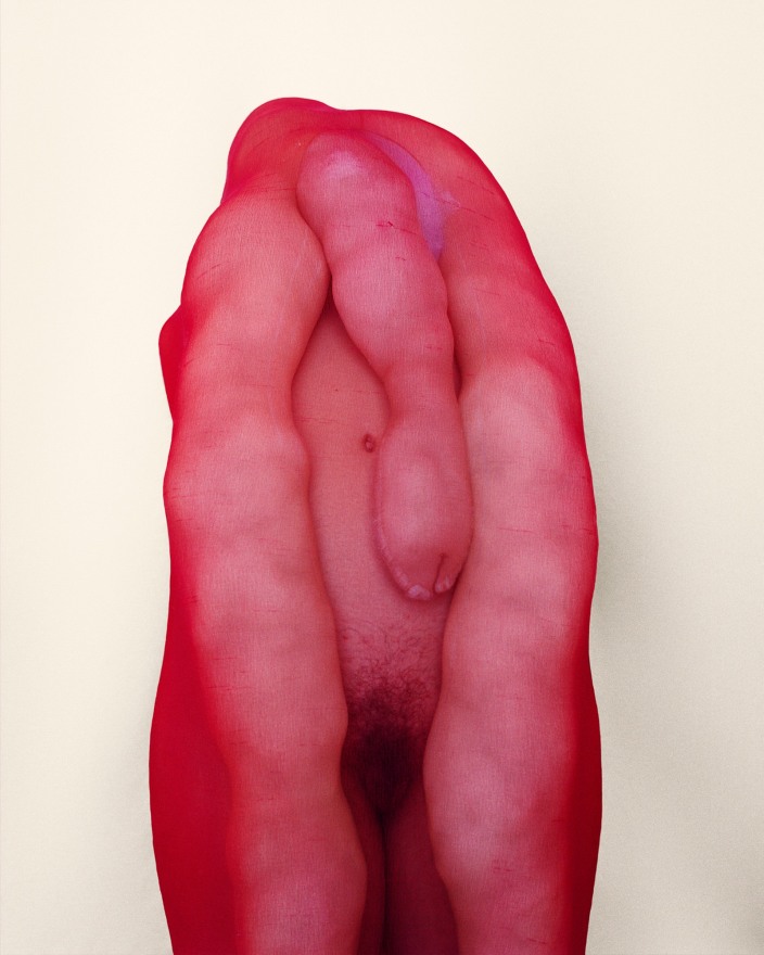 Polly Borland, Morph 10, 2018. archival pigment print 92 x 78 cm, 36.2 x 30.7 in, Edition of 6 plus 3 artist's proofs (#3/6) (PBO18.013)