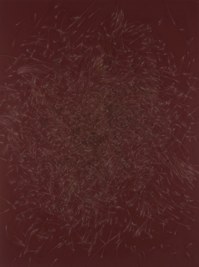 Thomas Wachholz Ohne Titel (Reibfl&auml;che), 2016 Red phosphorous, binder on wood 55 x 41 x 1.4 in 140 x 105 x 3.5 cm (TW16.052)