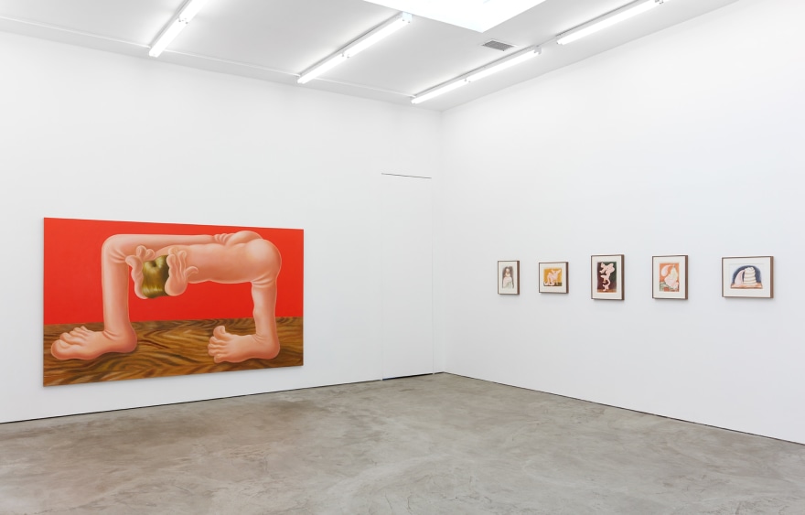 Installation view 5 of Louise Bonnet: New Works (March 24 &ndash; May 5, 2018), Nino Mier Gallery, Los Angeles