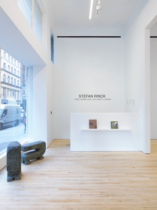 Installation View of STEFAN RINCK, Early Birds and Late Night Lizards | NEW YORK | TRIBECA (November 4 - December 16, 2023)