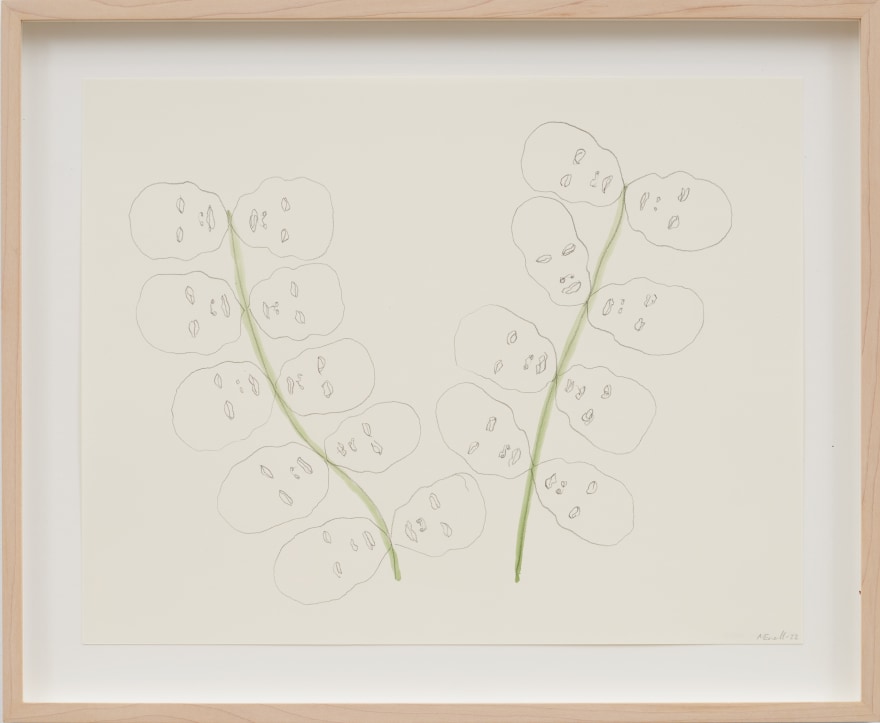 Mia Enell Growing heads, 2022 Paper, pencil, watercolor 11 x 14 in 27.9 x 35.6 cm (unframed)  43,5 x 36,5 cm (framed) (MEN23.009)