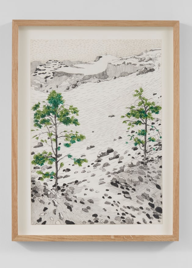 Per Adolfsen  Two pines on a Slope, 2023  Pencil and colored pencil on Hahnem&uuml;hle paper  19 3/4 x 14 3/4 in (framed)  50 x 37.5 cm  (PAD24.023)