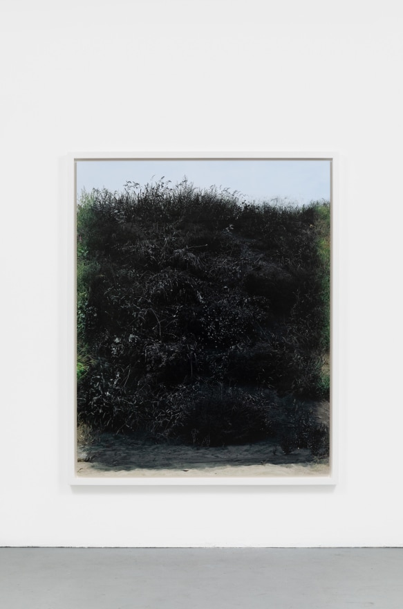 Andrew Dadson Painted Hill, 2014 Inkjet print 73 1/2 x 59 inches (186.7 x 149.9 cm) framed: 77 x 62 1/2 x 2 3/4 inches (195.6 x 158.8 x 7 cm) Ed. 3 of 3 with 1 AP (ADA20.002)