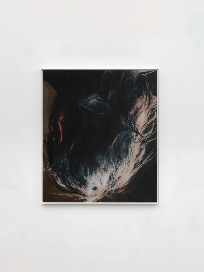 David Moy Liam, 2025 Ultrachrome inkjet on panel with varnish 23 x 20 in (unframed) 58.4 x 50.8 cm (unframed) (DMO25.021)