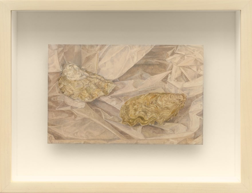 Esme Hodsoll Oysters, 2023 Oil on copper 6 3/4 x 8 3/4 x 1 7/8 in (framed) 17.1 x 22.2 x 4.8 cm (framed) (EHS23.001)