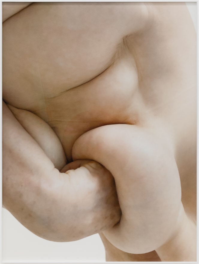 Polly Borland Nudie (1), 2021 Archival pigment print 53 1/2 x 40 1/4 x 1 1/2 in (framed) 135.9 x 102.2 x 3.8 cm (framed) Edition of 3 plus 2 artist's proofs (PBO21.017)