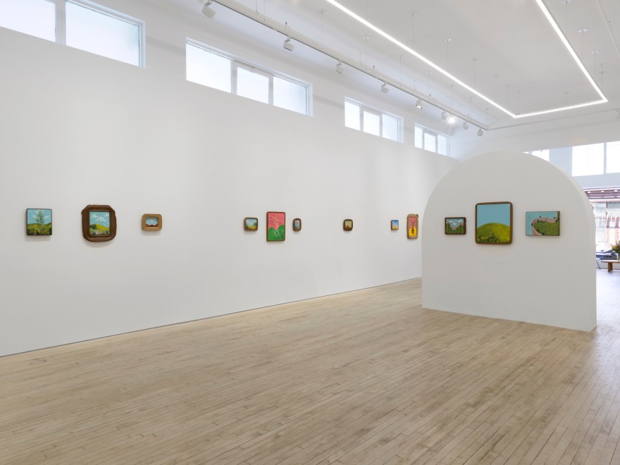 Installation view of Karel Dicker, tamed flowers, Nino Mier Gallery, Tribeca, June 27 &ndash; August 8, 2025