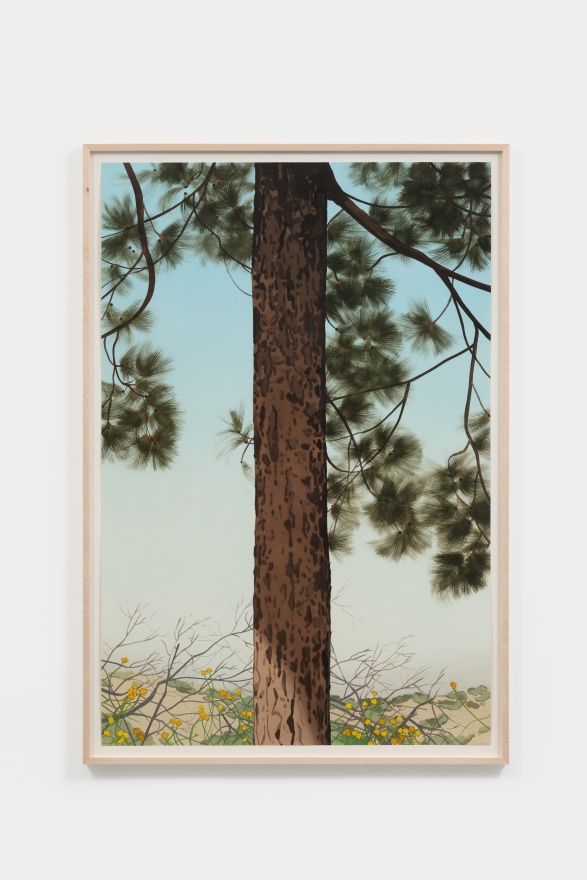 Jake Longstreth Untitled (Big Pine 3), 2022 Oil on paper 44 1/2 x 30 1/2 x 1 1/2 in (framed) 113 x 77.5 x 3.8 cm (framed) 42 x 28 in (unframed) 106.7 x 71.1 cm (unframed) (JLO22.005)