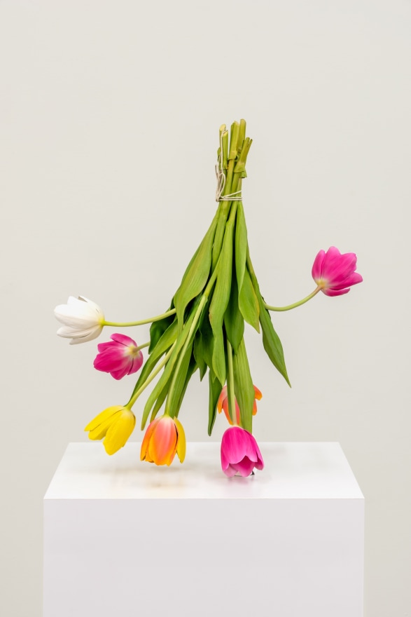 Tony Matelli Arrangement, 2024 Painted Bronze 19 x 12 x 17 in 48.3 x 30.5 x 43.2 cm (TMA24.011)