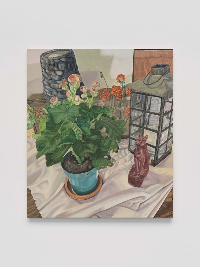 Michael Cline Plant, Lantern, and Cat, 2022 Oil on linen 46 x 40 in 116.8 x 101.6 cm (MCL22.002)