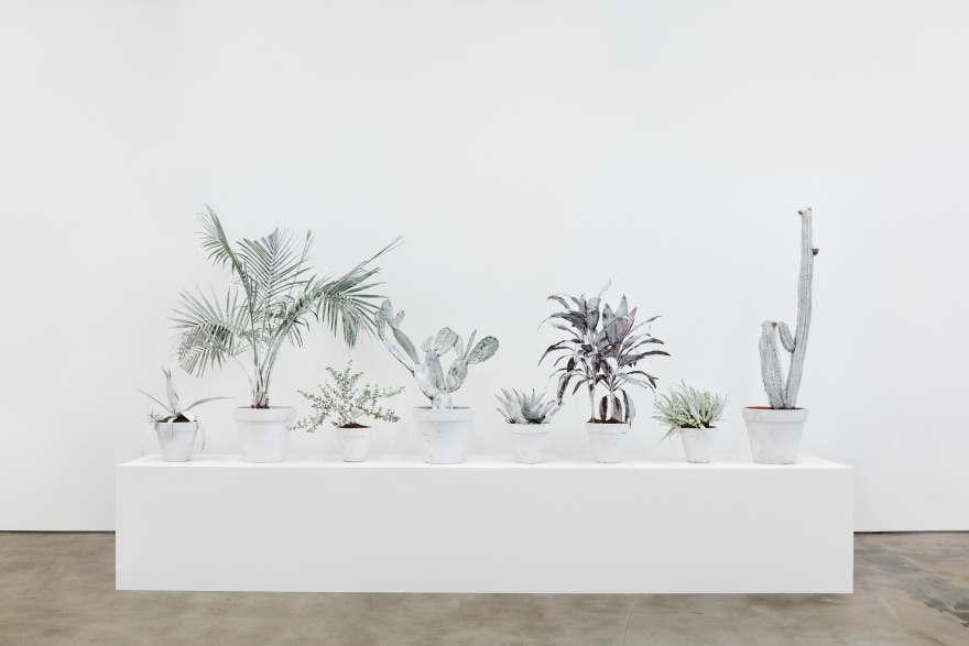Andrew Dadson House Plants, 2019 Majesty palm, bunny ear cactus, agave tequilana, cereus peruvizenus, jade, spider aloe, ti plant, agave maximiliana, milk paint, clay pots, soil, grow lights Dimensions variable (ADA19.002)