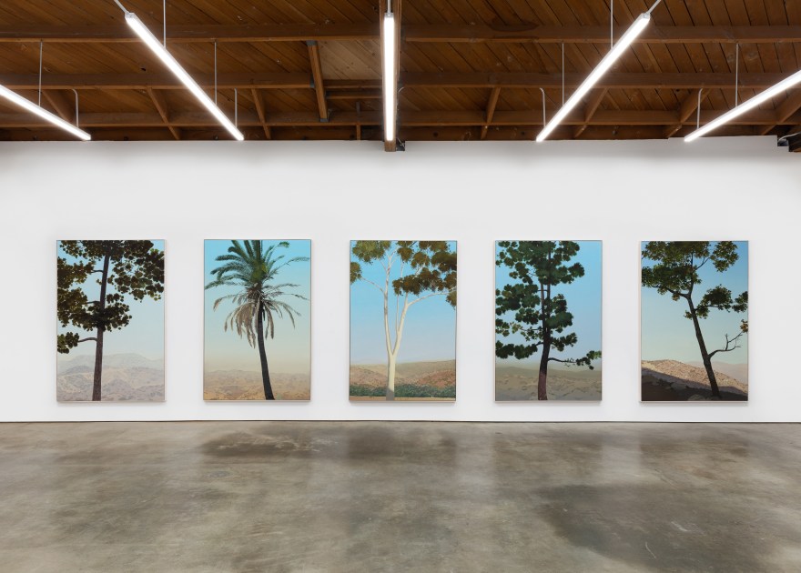 Installation View of &quot;In Glendale (Canary Island Pine 2)&quot;, &quot;In Glendale (Fan Palm)&quot;, &quot;In Glendale (Eucalyptus)&quot;, &quot;In Glendale (Canary Island Pine 1)&quot;, and &quot;In Glendale (Live Oak 1)&quot;